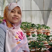 Ija