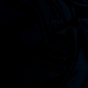 teriny_seisw1g
