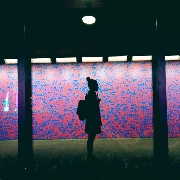 shietingflowers