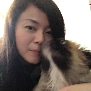 noelchic