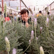sweettania08