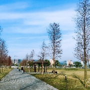 Hsiao_Ting